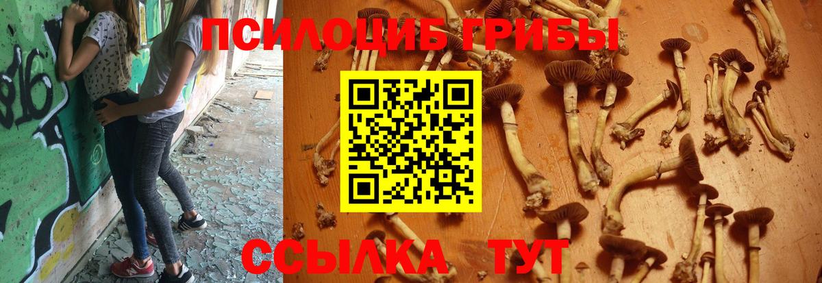 Псилоцибиновые грибы Psilocybine cubensis  Вход с VPN  Псилоцибиновые грибы Psilocybe  Котлас 